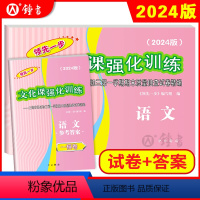 [正版]2024版上海中考一模卷 语文 试卷+答案 领先一步文化课强化训练一模卷 上海市各区初三第一学期期末质量抽查试