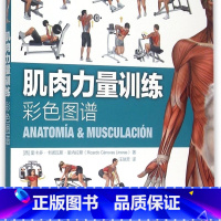 肌肉力量训练彩色图谱 [正版]肌肉力量训练彩色图谱