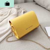 高级感小包包女士2020新款潮韩版时尚简约ins链条包单肩斜挎女包NEW LAKE女斜挎包