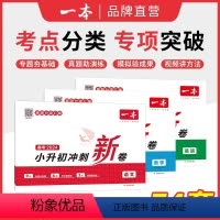 全面备考??3本:语文+数学+英语 小学升初中 [正版]2024新一本小升初冲刺新卷语文数学英语真题卷+专题卷+模拟卷期