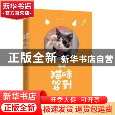 正版 猫咪驾到 克查 电子工业出版社 9787121386053 书籍