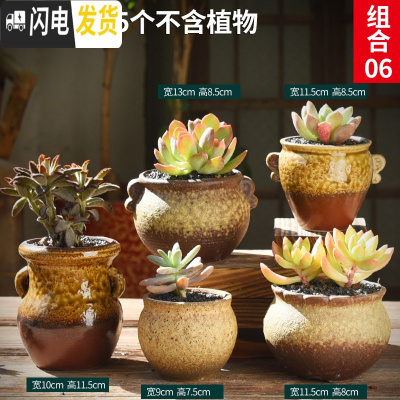 三维工匠多肉花盆粗陶透气复古陶瓷大口径创意盆景盆肉肉花盆 款式24[5个] 中等花盆容器