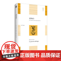 美学权力
