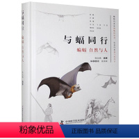 [正版]图书 与蝠同行:蝙蝠 自然与人(精装)陈民镇责_王晓平符晓静中国科学技术9787504688231