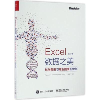 Excel数据之美:科学图表与商业图表的绘制(全彩)