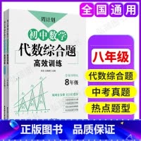 周计划 初中数学代数综合题高训练 8年级 初中通用 [正版]周计划初中语文课外文言文阅读现代文作文名著阅读基础知识数学计