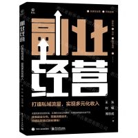 [N]副业经营(打造私域流量实现多元化收入)-9787121413735