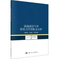 音像高温高压气井管道力学有限元分析杨向同//沈新普//刘洪涛