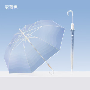 统狮直杆雨伞Y56 个