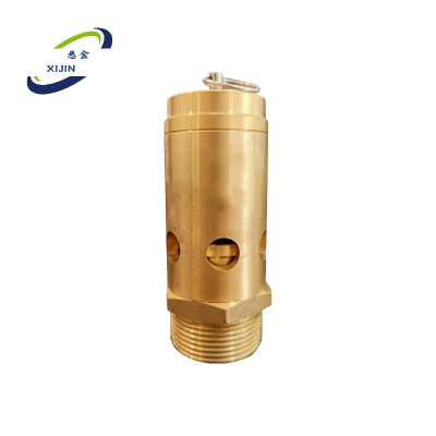 悉金 弹簧式安全阀 XJ - B-RV9508-T350-NT4 个