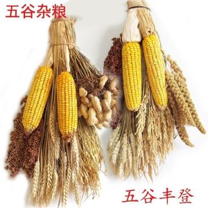 维诺亚真实五谷杂粮挂件玉米麦穗干花高粱田园农家乐装饰农作物五谷丰登