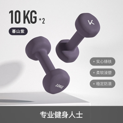 Keep 彩色浸塑哑铃 暮山紫 10kg*2(21317095)