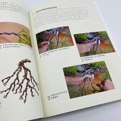 [醉染正版]图解五针松盆景制作技艺 刘立华 著 养花书籍