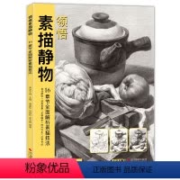 [正版]sh 领悟素描静物书籍 大八开临摹范本入门经典组合画册