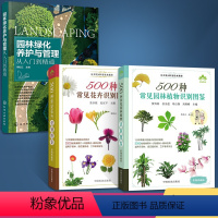 [正版]全3册园林绿化养护与管理从入门到精通+500种常见园林植物识别图鉴+500种常见花卉识别图鉴 彩图植物鉴别 园