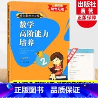 数学 二年级下 [正版]数学高阶能力培养 二年级下 核心素养天天练 小学2年级课时作业本小学生课堂训练课前课后同步天天练
