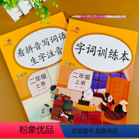 [正版]全套2册 小学二年级上册字词训练本+看拼音写词语生字注音 专项训练 二年级下册语文字词通解课堂练习册句子一课一