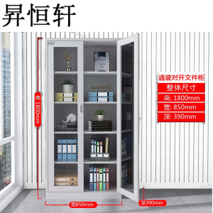 昇恒轩 通玻对开文件柜办公室档案资料财务凭证更衣储物铁柜矮柜柜子 SHX-0422 个(钢板厚度 1.0mm )