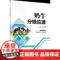 正版 奶牛分娩应激 孙健主编 中国农业大学出版社店9787565530487