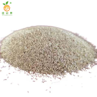 廷豪果 果岭草草籽 果岭草种子 净籽 /千克