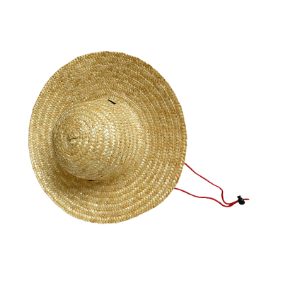 泽奋 草帽 40cm 个