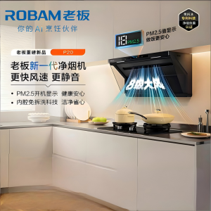 老板(Robam)星辰欧式顶吸抽油烟机净烟机P2.5净味吸油烟机 搭配燃气灶22A7S油烟机