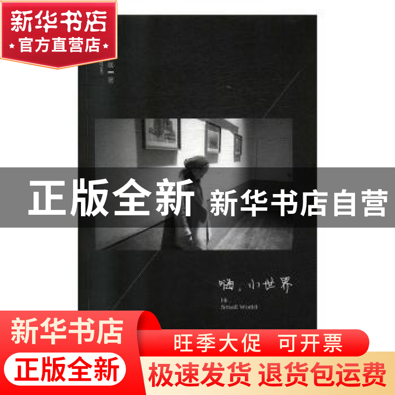 正版 嗨,小世界 李梦媛著 重庆大学出版社 9787562490340 书籍