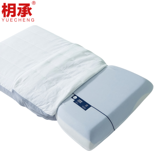 枂承