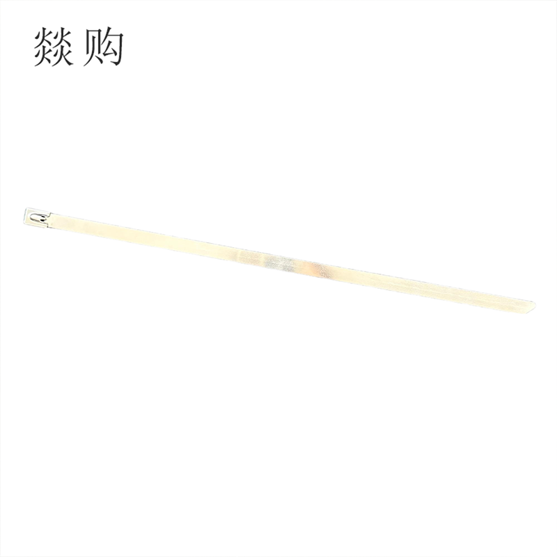 燚购304不锈钢自锁式扎带4.6*300mm 根