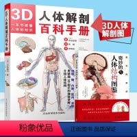 [正版]2册3D人体解剖百科手册+奇妙的人体结构图鉴 全彩解剖学图谱医学人体生理学人体解剖彩色学图谱局部解剖学人体解剖