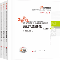 正版新书]2023年会计专业技术资格考试应试指导及全真模拟测试