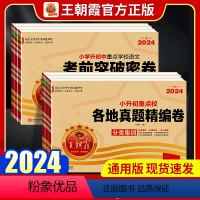 [全套6本]真题卷语数英+冲刺卷语数英 小学升初中 [正版]小升初真题卷2024各地真题精编卷考前突破密卷语文数学英语人