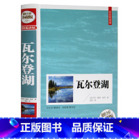 [正版] 瓦尔登湖 彩图精装全彩珍藏版 戴维·梭罗著 高格译徐迟荐 世界名著随笔经典文学书籍 外国现当代经典散文随笔小说