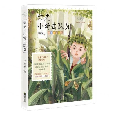 [N]灯光小游击队员(名家公开课美绘版)/成长读书课-9787514517965