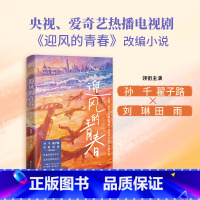 迎风的青春(孙千、翟子路、刘琳、田雨主演同名电视剧原著!中国版《请回答1988》) [正版]迎风的青春 孙千 翟子路 刘