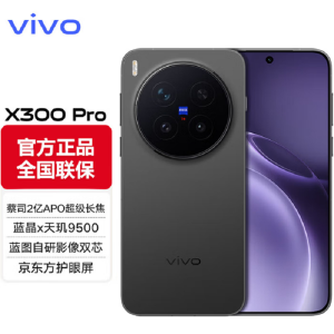 vivo X300 Pro 纯粹黑 16GB+512GB 蓝晶×天玑9500芯 大电池 90W快充 支持无线充电 蔡司超级潜望长焦 拍照 AI手机