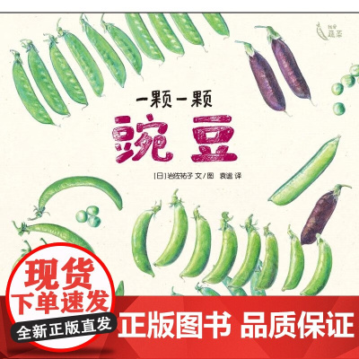 一颗一颗豌豆精装硬壳麦田精选图画书适合3-6周岁植物蔬菜科普绘本少年儿童出版社正版