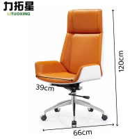 力拓星 电脑转椅 66*39*120cm 把