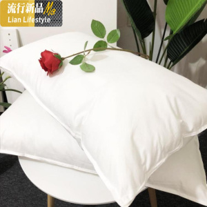 家羽丝绒枕头 无荧光剂慢回弹五星酒店侧睡软纤维枕芯 三维工匠 升级款标准中枕（单只） 默认尺寸