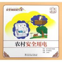 正版新书]农村安全用电(漫画手册)/安全知识进万家系列农村安全