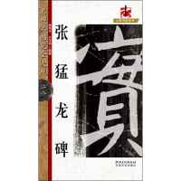 音像张猛龙碑徐伟平,王玉池 编著