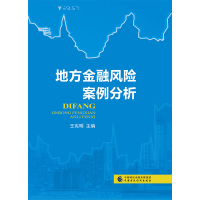 音像地方金融风险案例分析王宪明