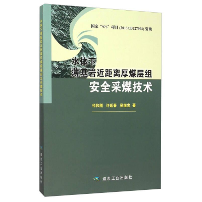 正版新书]水体下薄基岩近距离厚煤层组安全采煤技术祁和刚978750