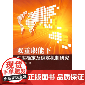 双重职能下汇率确定及稳定机制研究