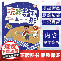 玩转数和形2A 张天孝著 数学思维训练手册玩转数与形小学生趣味数学6-12-15岁儿童数学课外辅导 散发思维的趣味数学