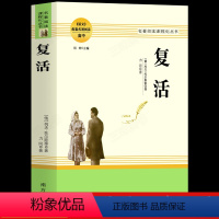 复活正版原著 [正版]复活 列夫托尔斯泰著作 高中生必配套阅读 经典世界十大名著文学长篇小说大卫科波菲尔 高一二三年级课