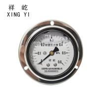 祥屹 耐震压力表(轴向带边) YN60ZT 块