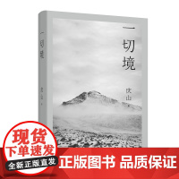 一切境 庆山交付灵魂之作 庆山著安妮宝贝夏摩山谷镜湖告别薇安七月与安生现当代女性青少年文学书