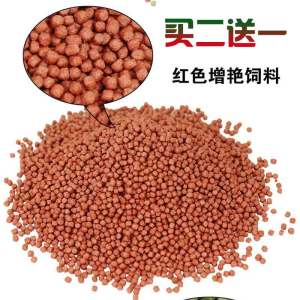 (买2送一)金鱼饲料锦鲤鱼食观赏鱼饲料冷水鱼粮袋装大中小粒