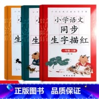 小学语文同步生字描红全3册上册 [正版]一1年级二2年级三3年级4四年级5五年级6六年级上下册小学语文同步字帖人教版小学
